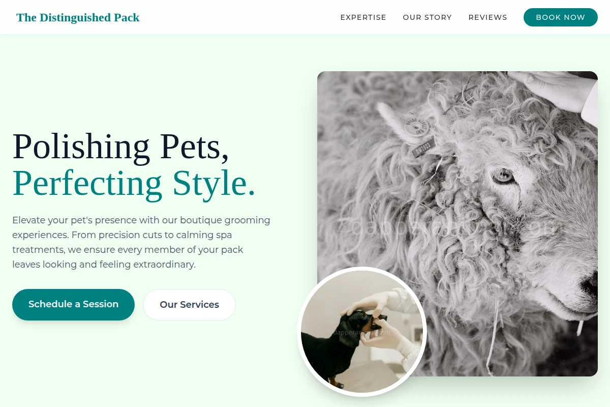 Animal Animal Care