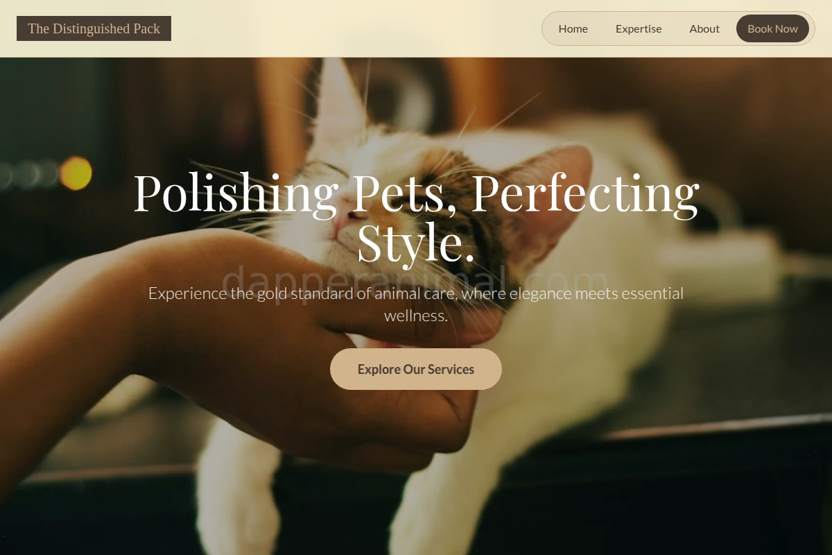 Snout Animal Care
