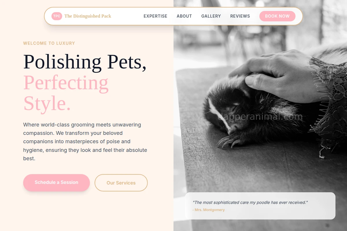 Chic Animal Care