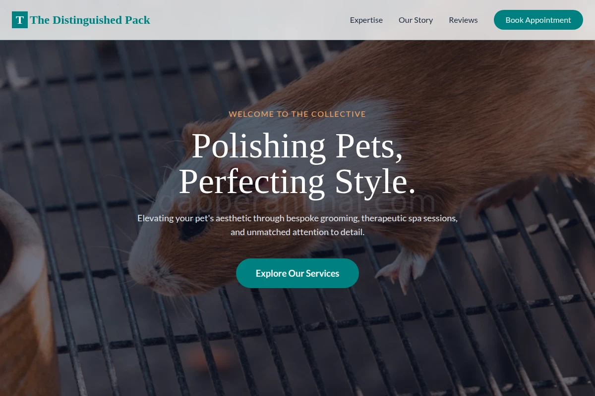 Chic Animal Care