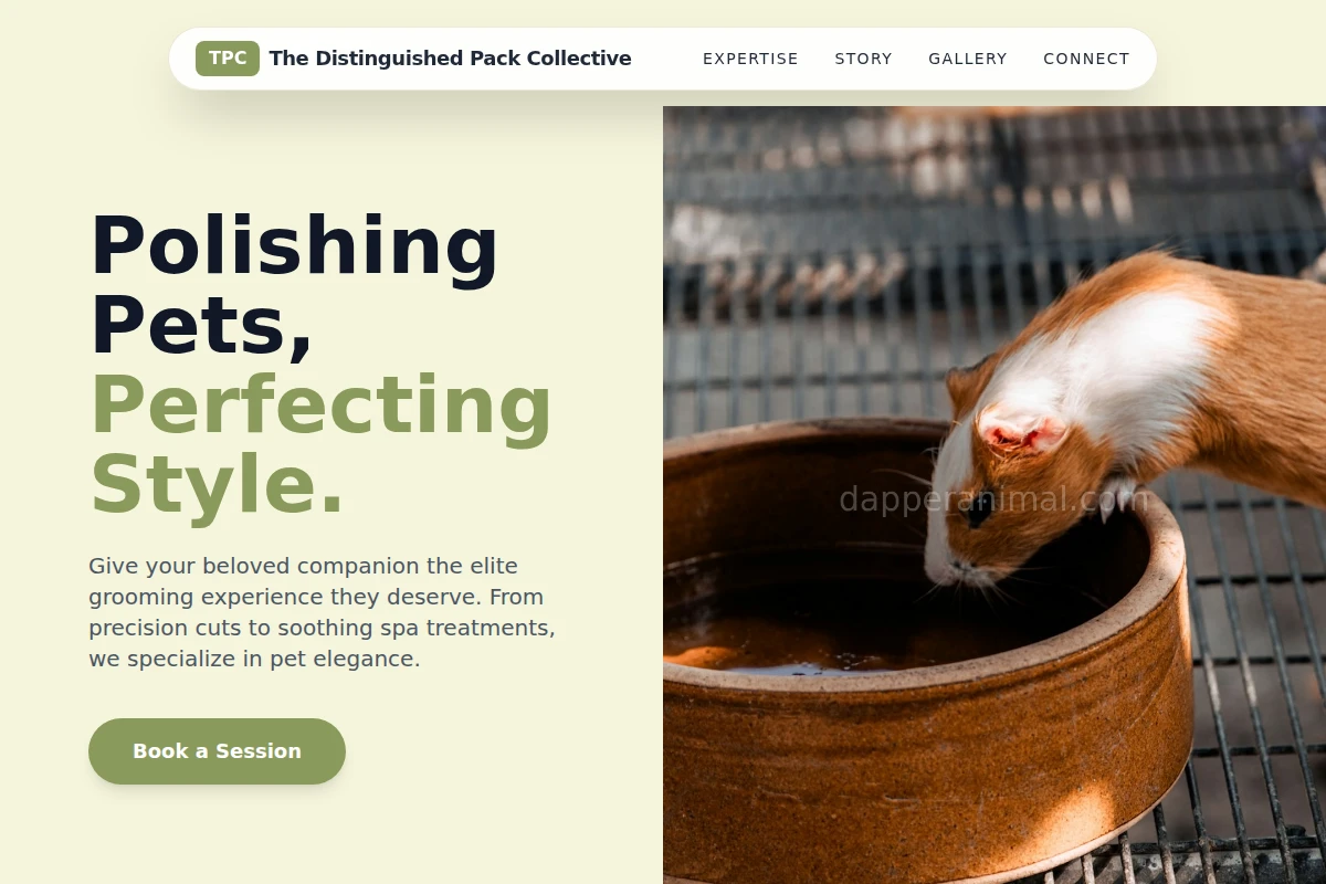 Tail Animal Care
