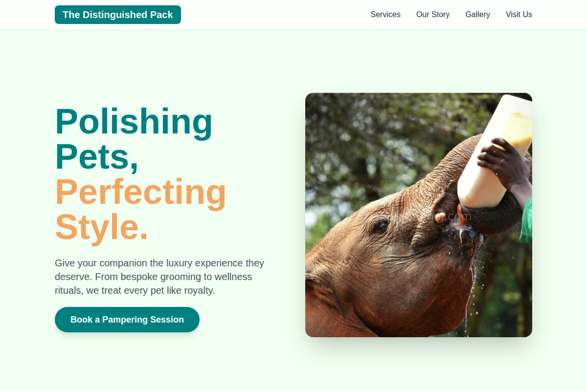 Fetch Animal Care