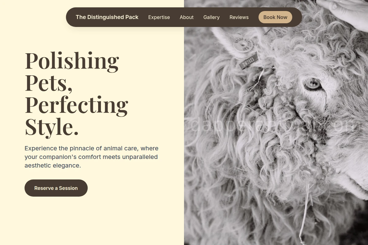 Boutique Animal Care