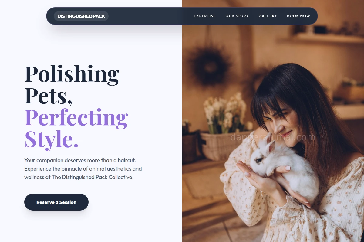 Fetch Animal Care