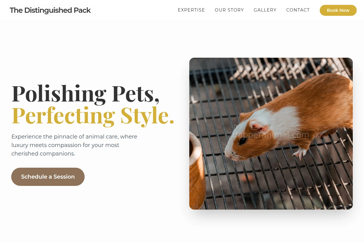 Mane Animal Care