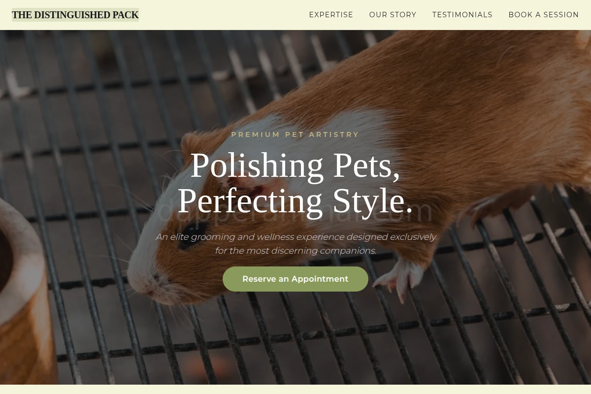 Posh Animal Care