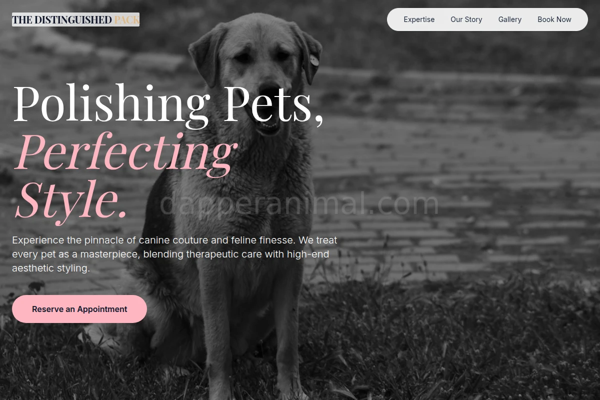 Claw Animal Care