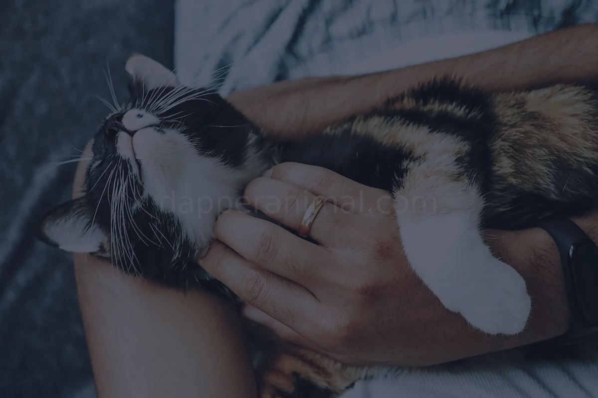 Nuzzle Animal Care