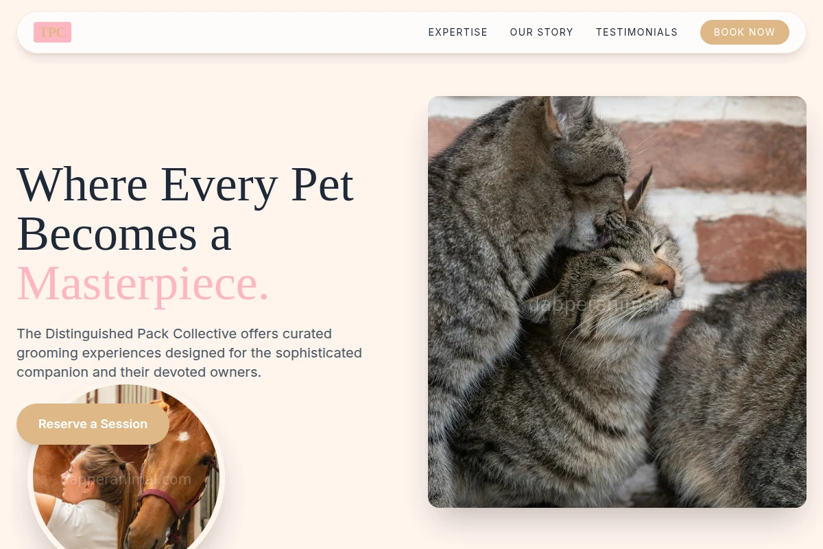 Fancy Animal Care