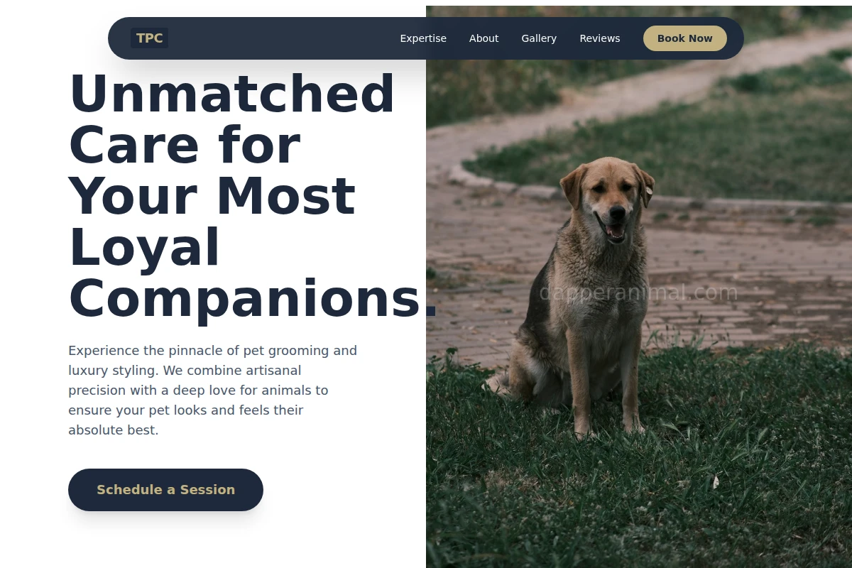 Polished Animal Care