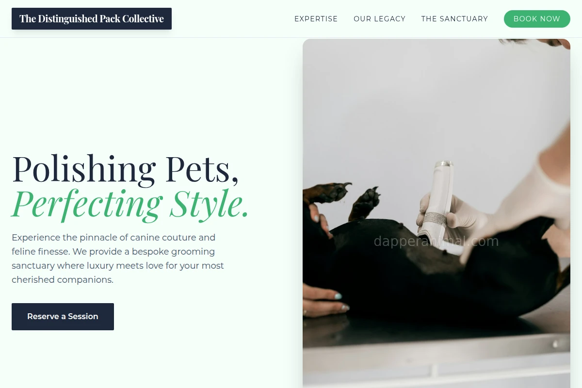 Posh Animal Care