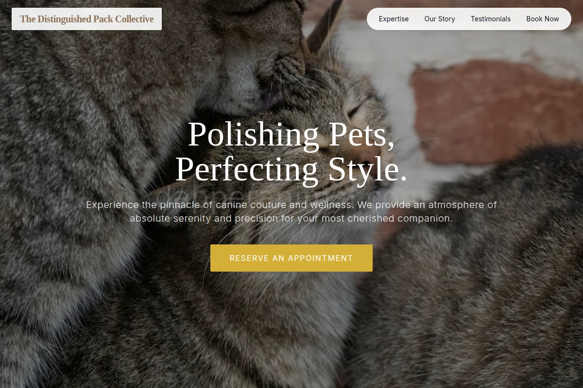 Animal Animal Care