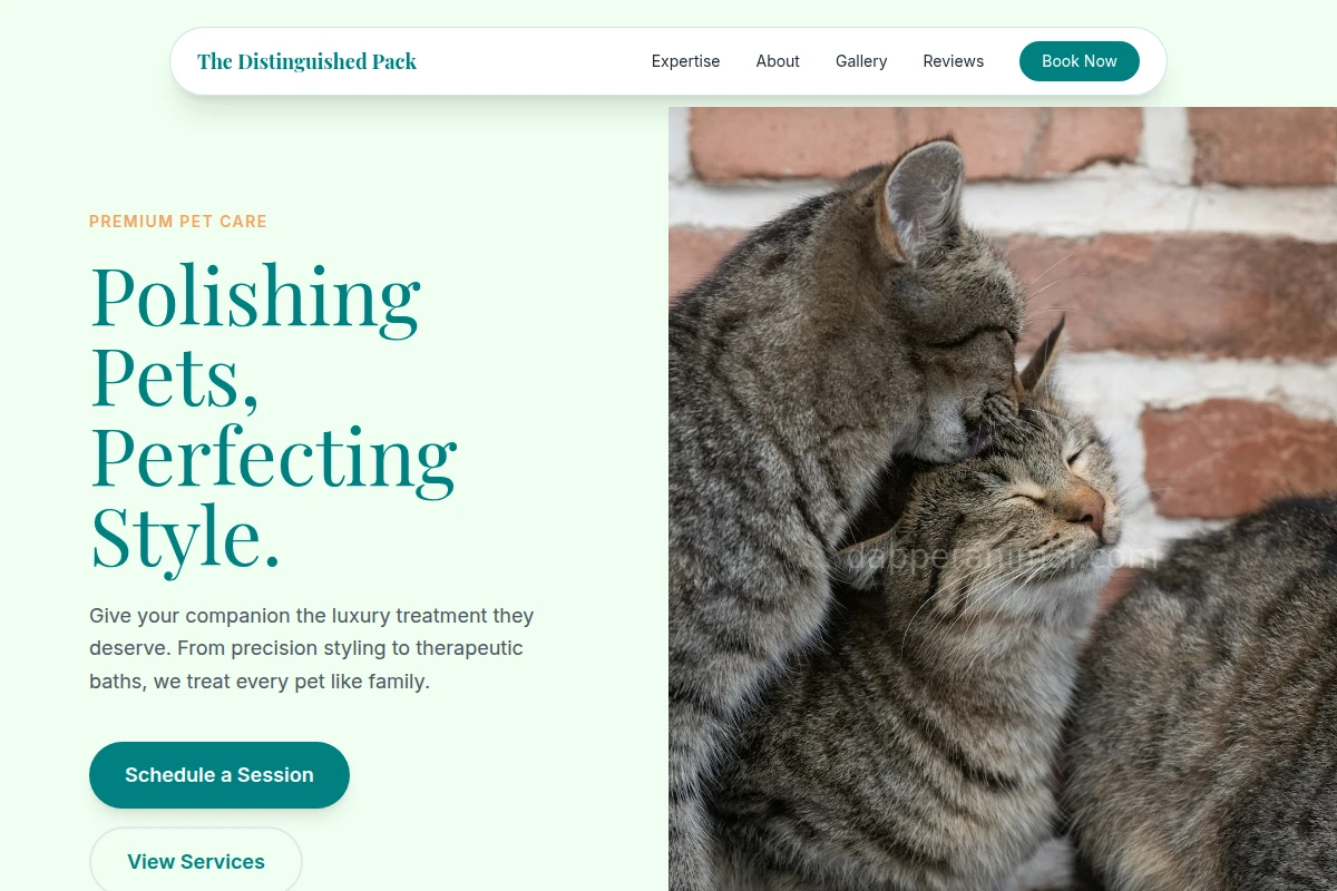 Fetch Animal Care