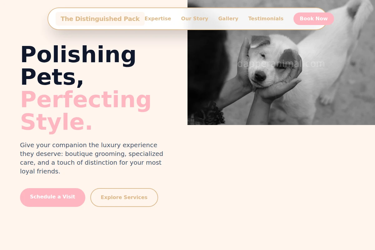 Companion Animal Care