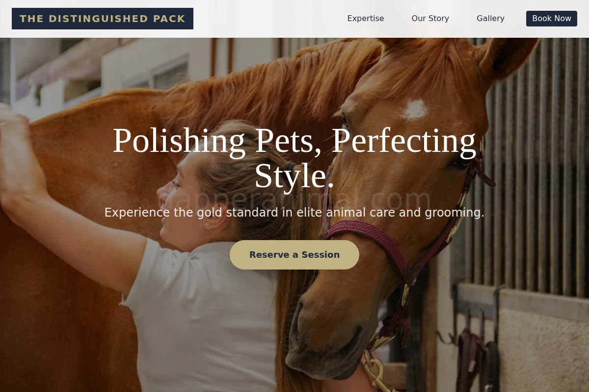 Purr Animal Care