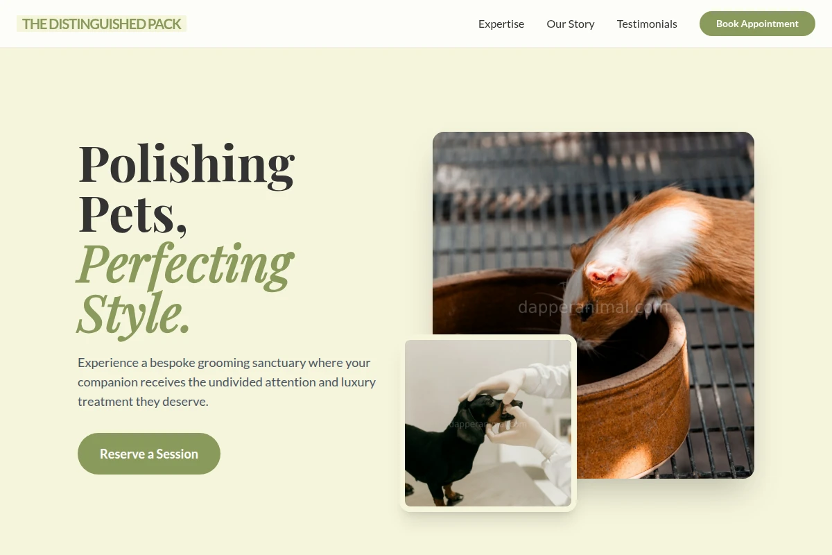 Paws Animal Care