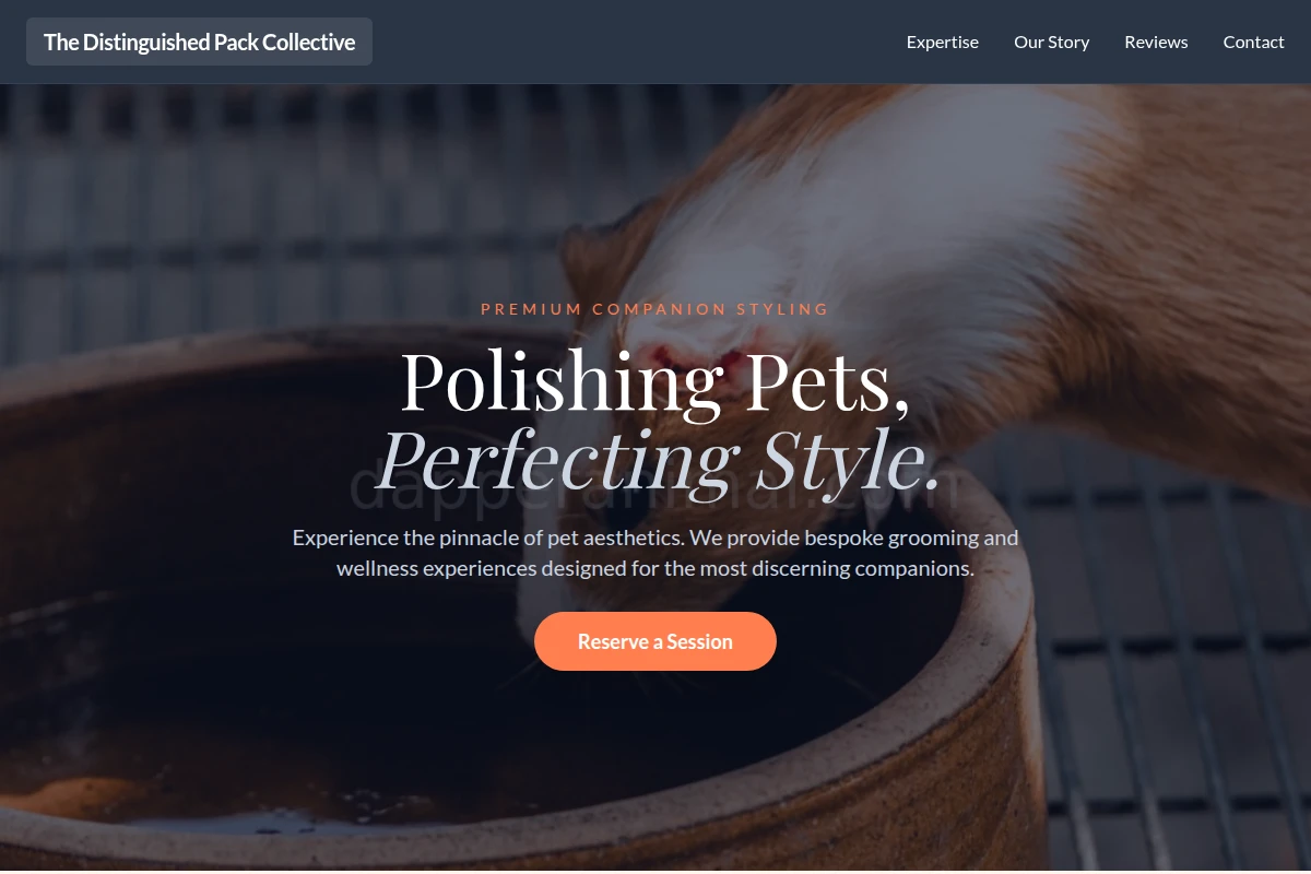 Companion Animal Care