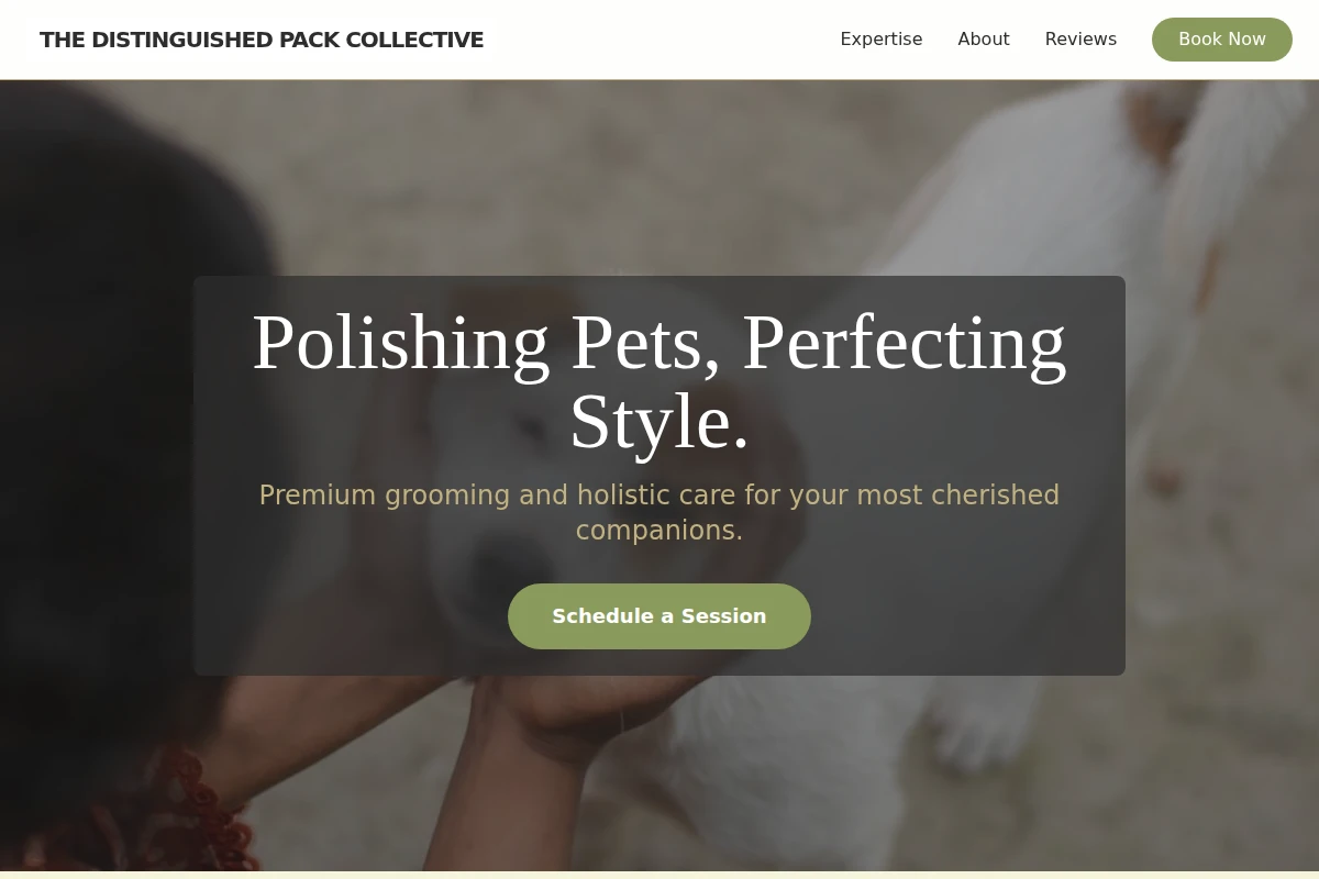 Snout Animal Care