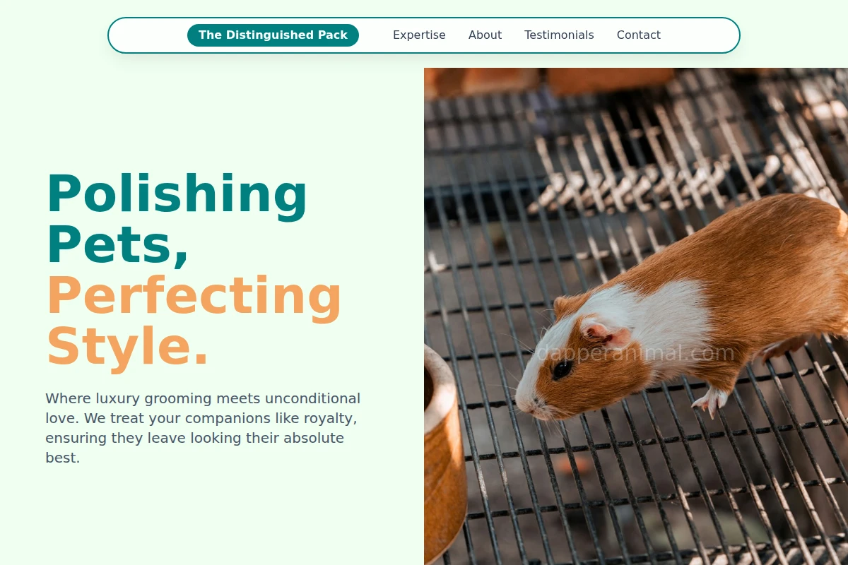 Pet Animal Care