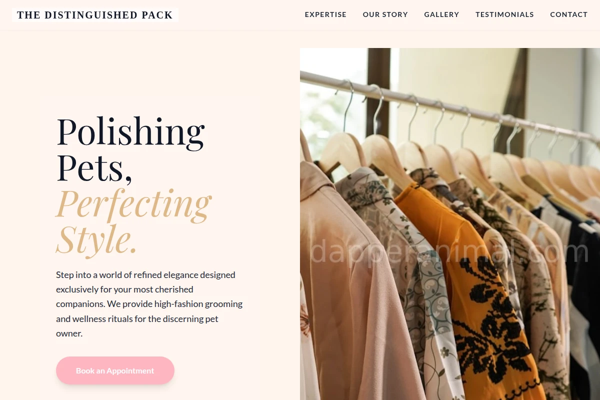 Swanky Boutique