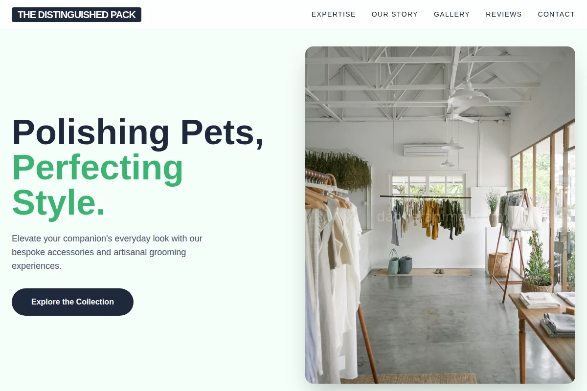 Collar Boutique