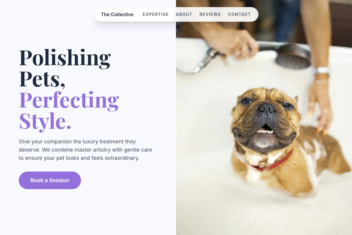 Spiff Pet Grooming