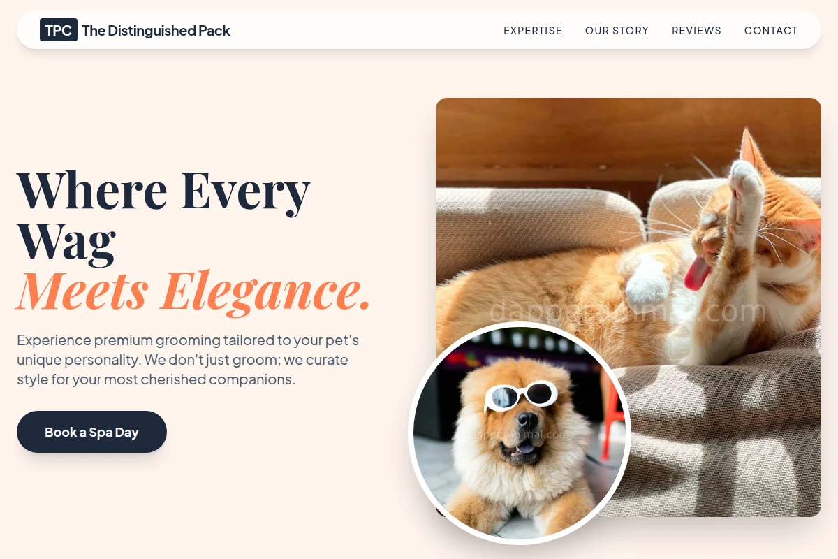 Paw Pet Grooming