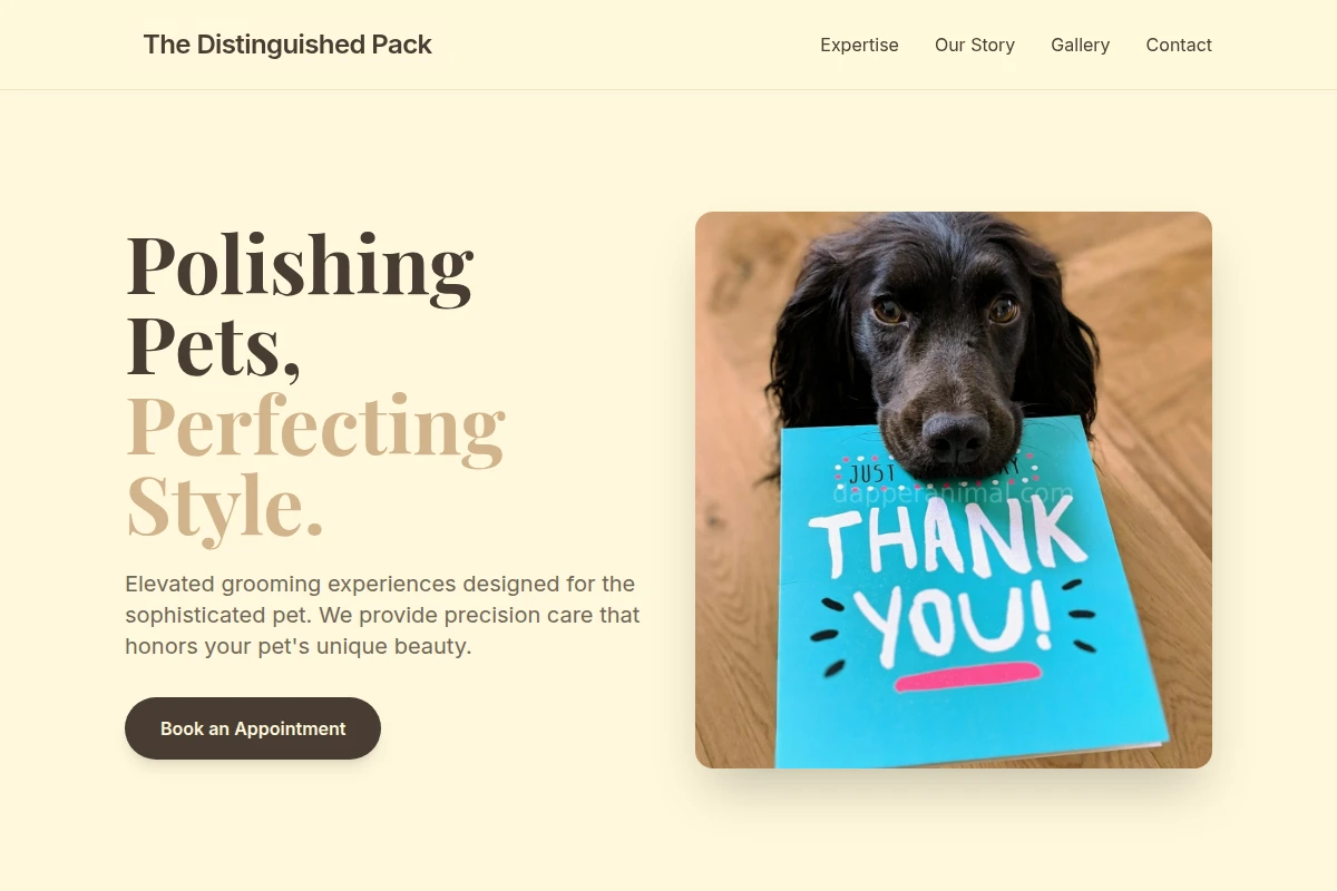 Bark Pet Grooming