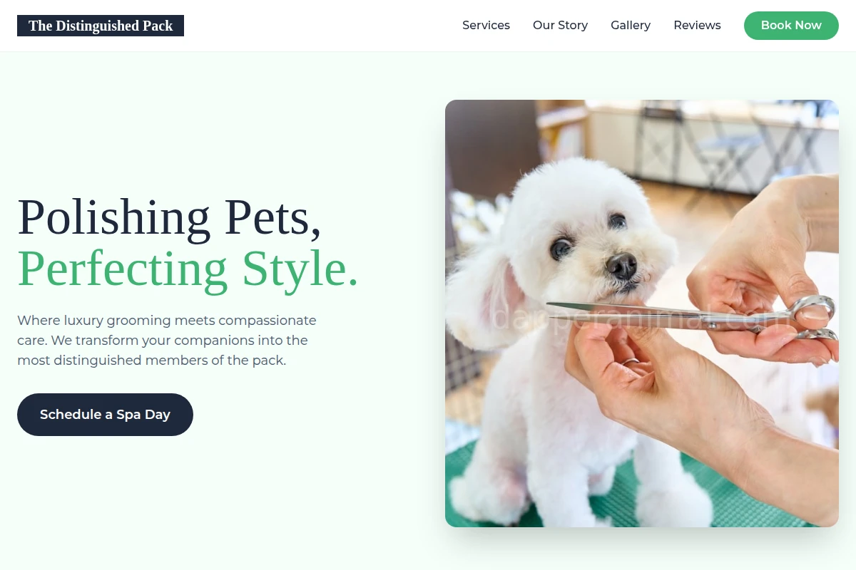 Bowtie Pet Grooming