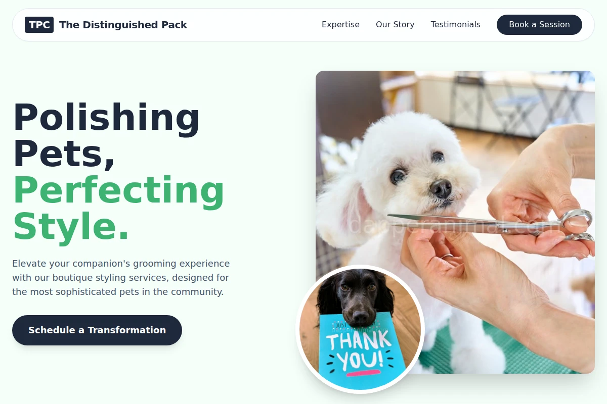 Leash Pet Grooming