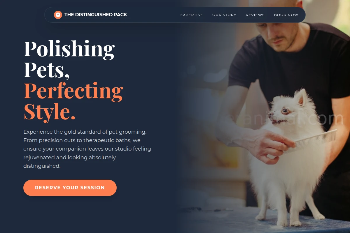 Spiff Pet Grooming