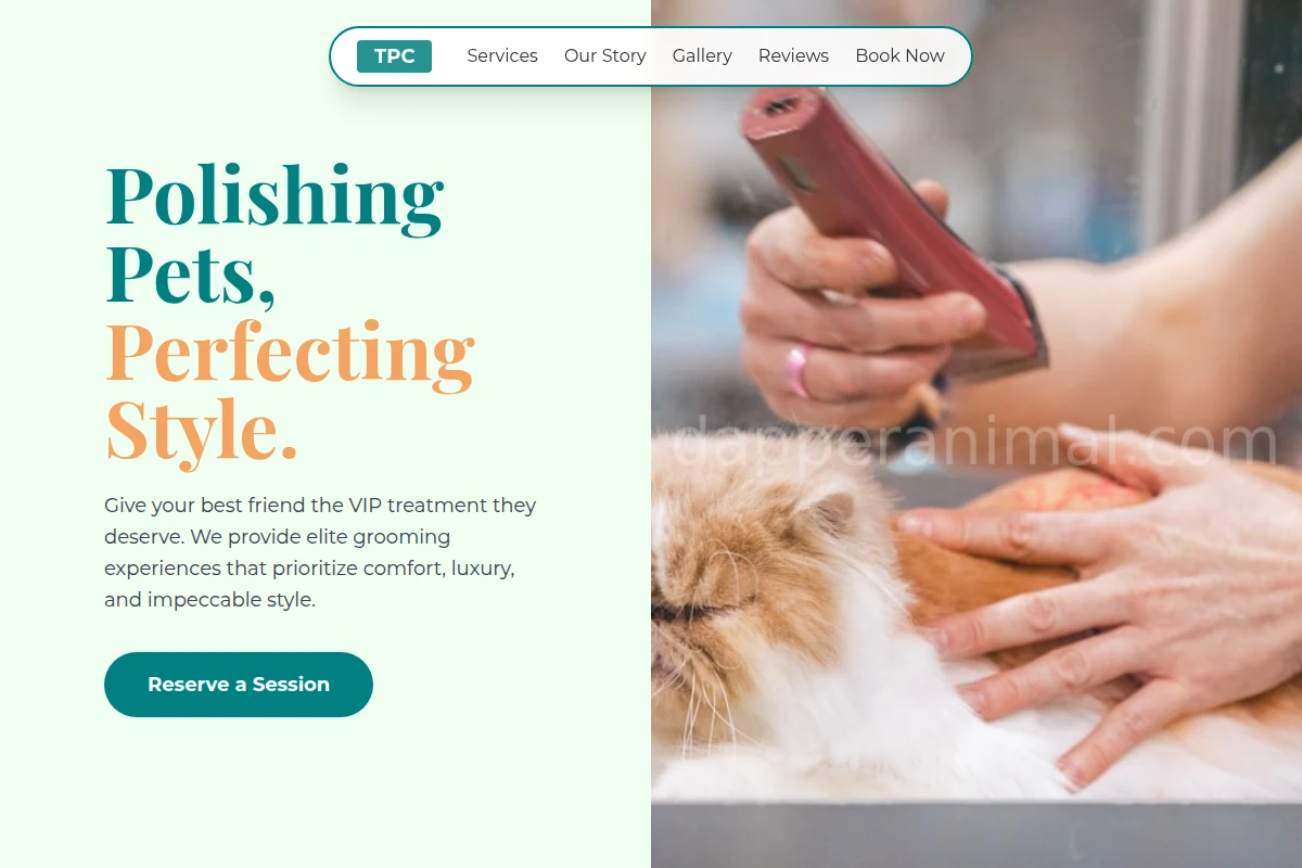 Groom Pet Grooming