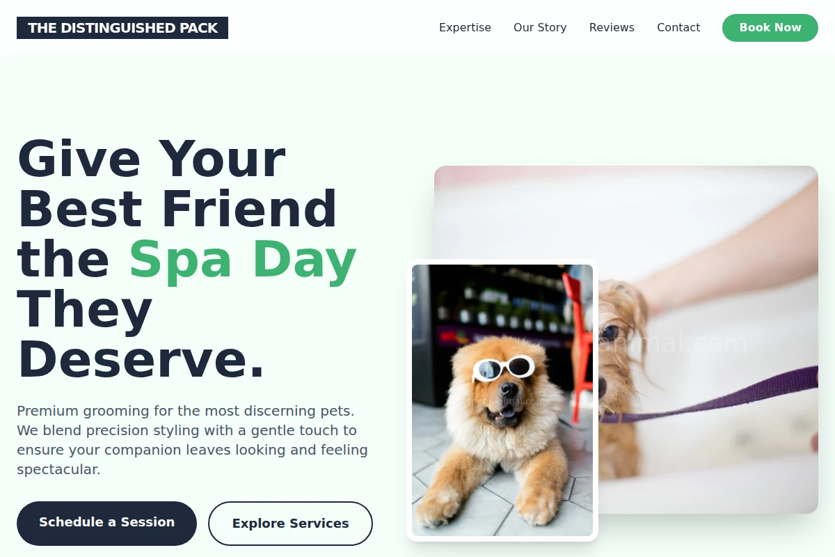 Treats Pet Grooming