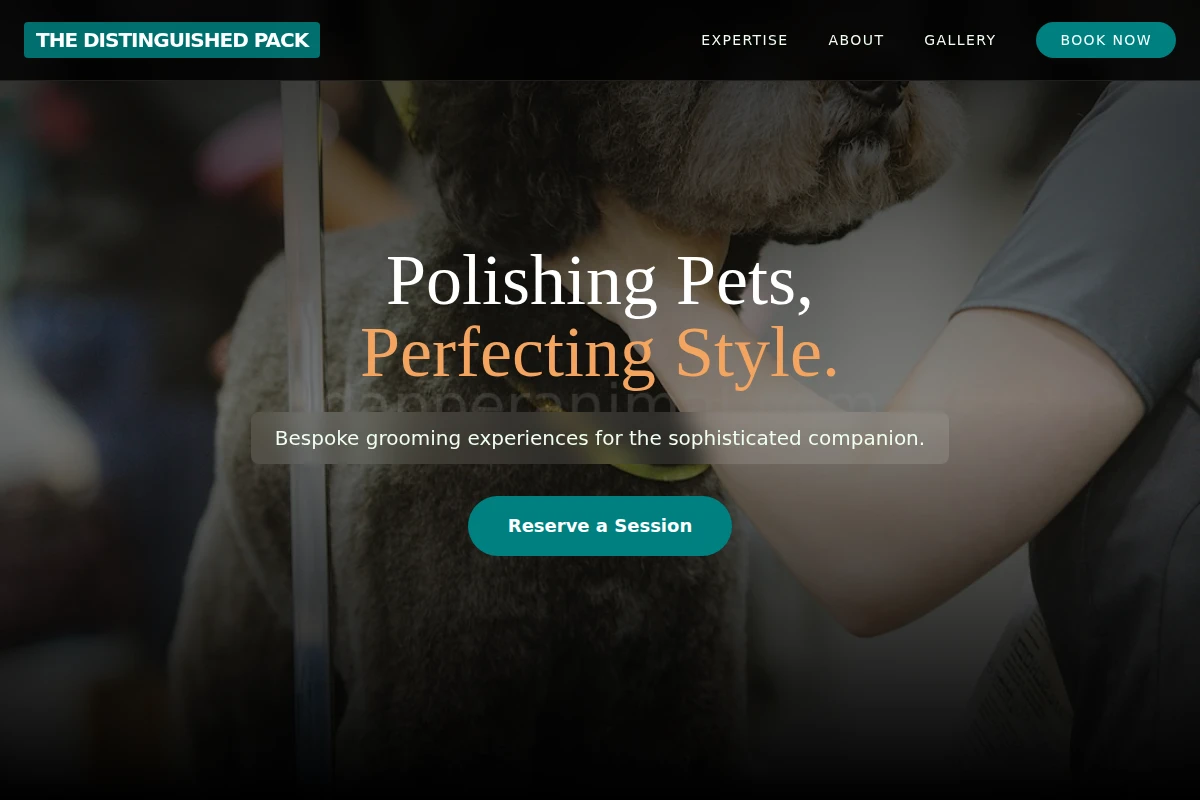 Snout Pet Grooming