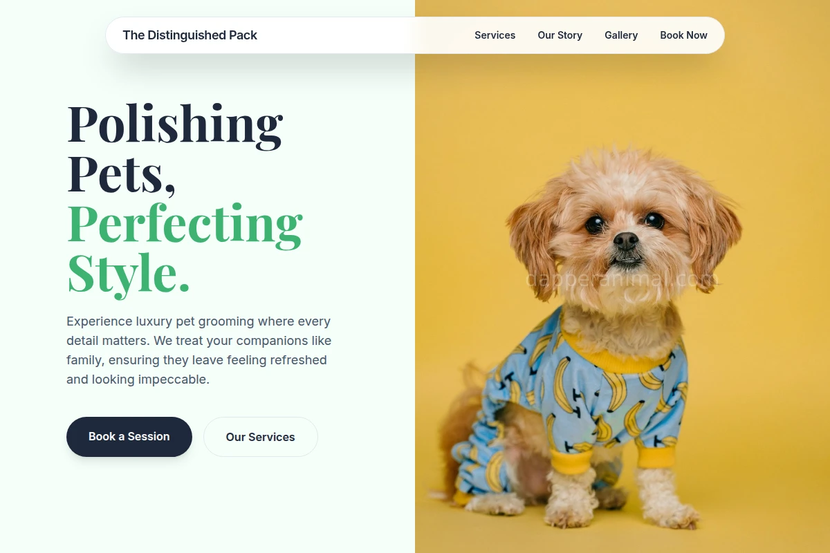 Snuggle Pet Grooming
