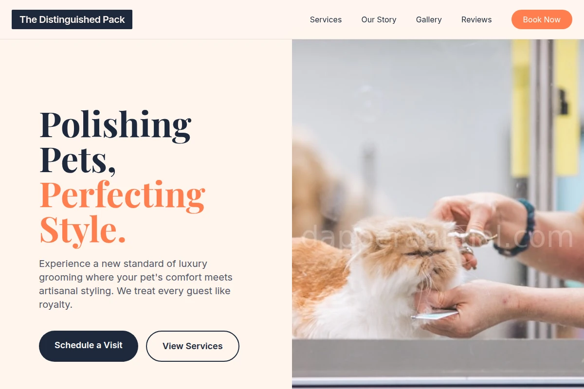 Spiff Pet Grooming