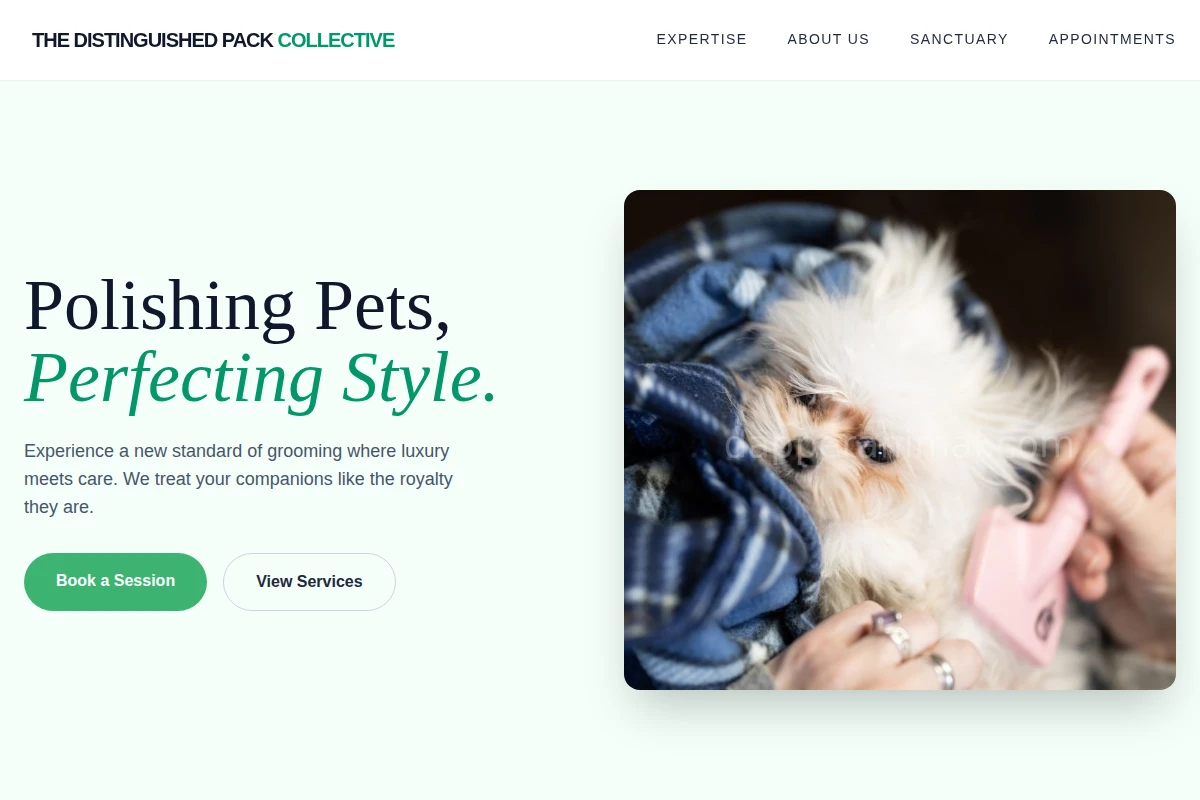 Paw Pet Grooming