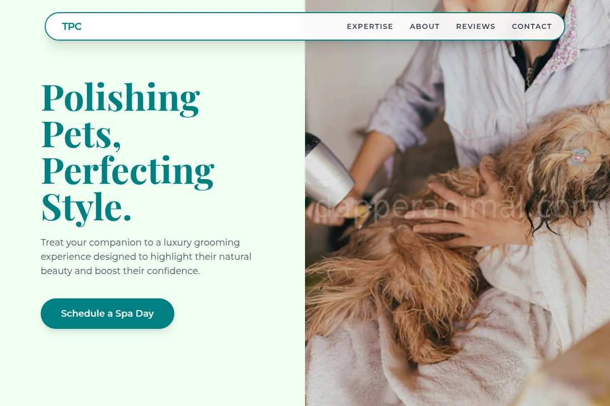 Companion Pet Grooming