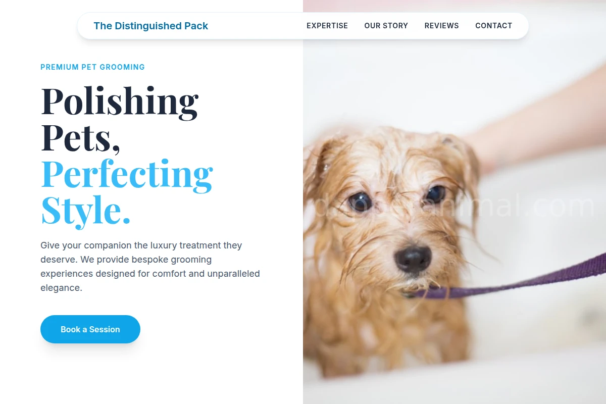 Bestie Pet Grooming