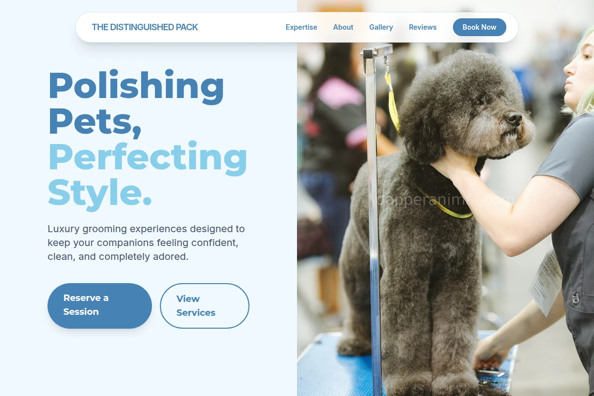 Bark Pet Grooming