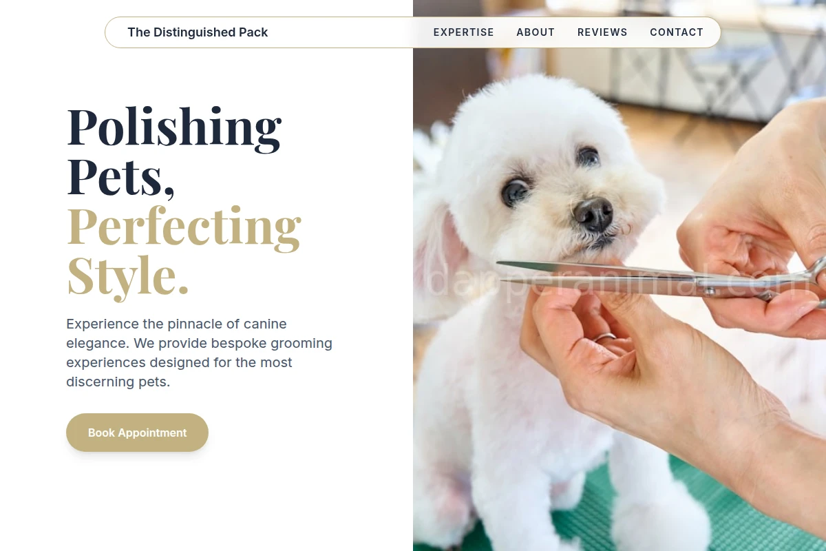 Spiff Pet Grooming