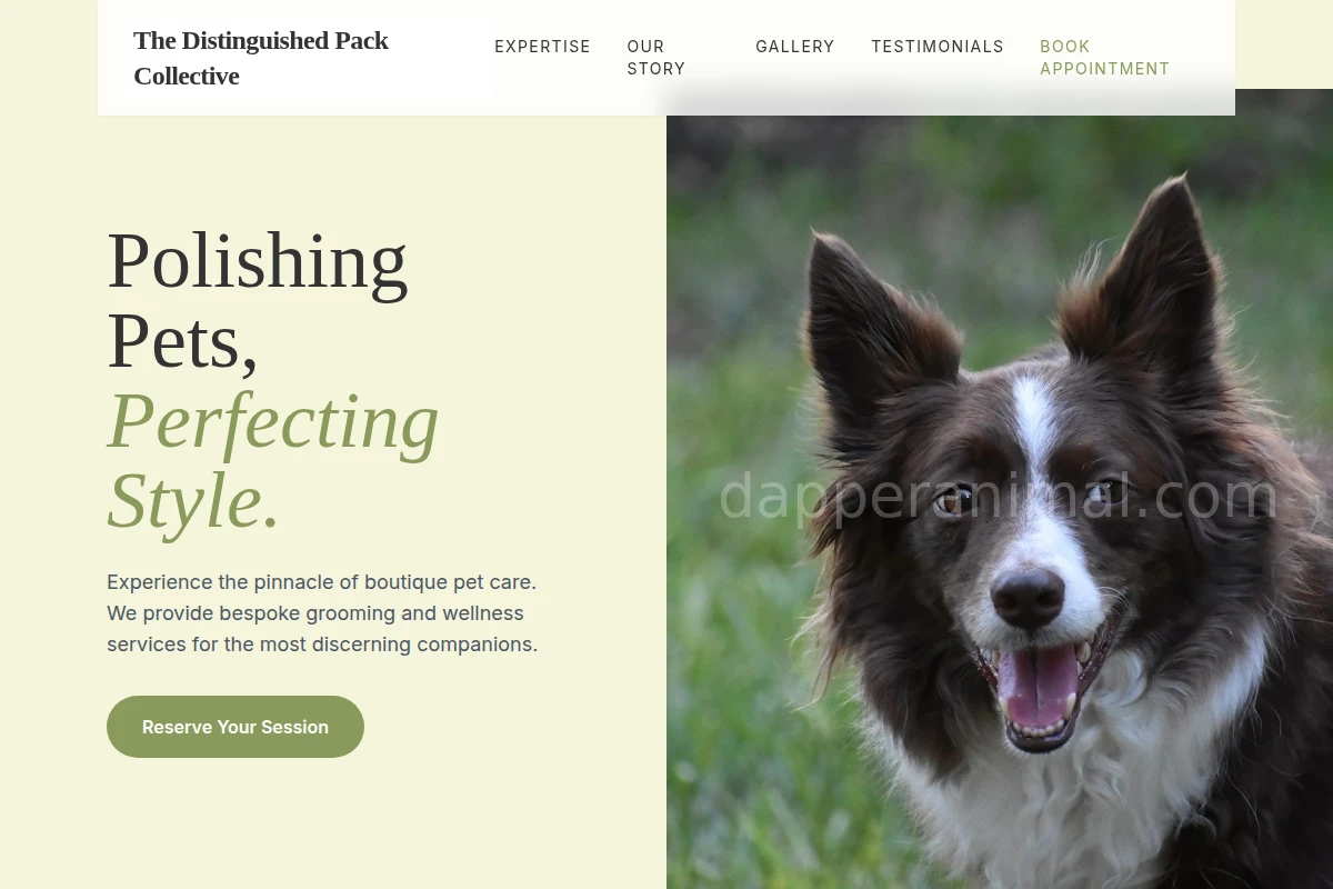 Boutique Pet Services