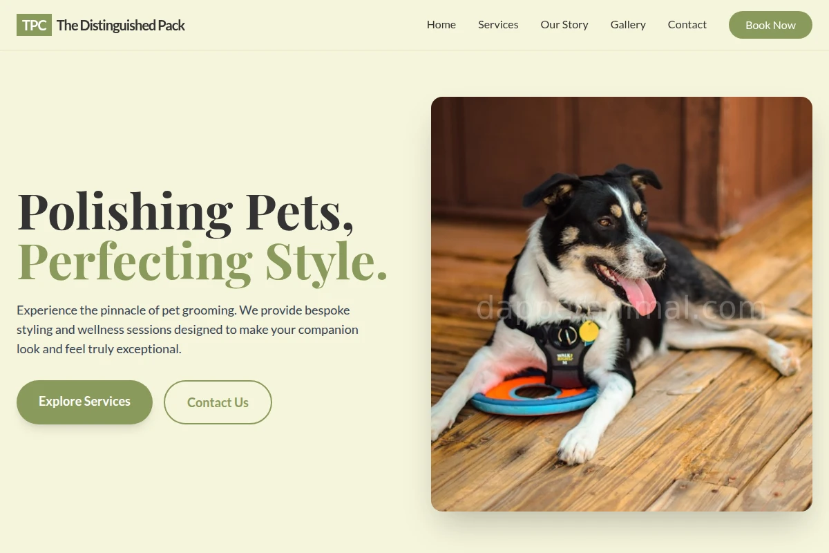 Tail Pet Services