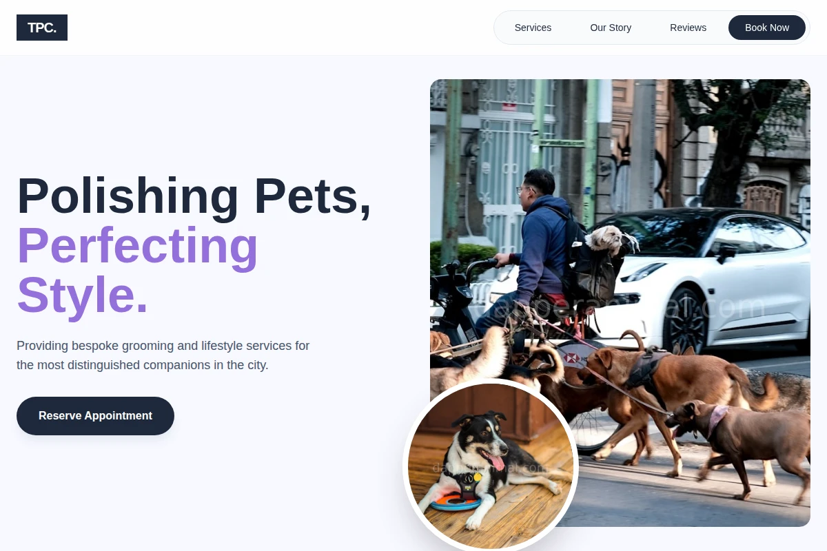 Swanky Pet Services