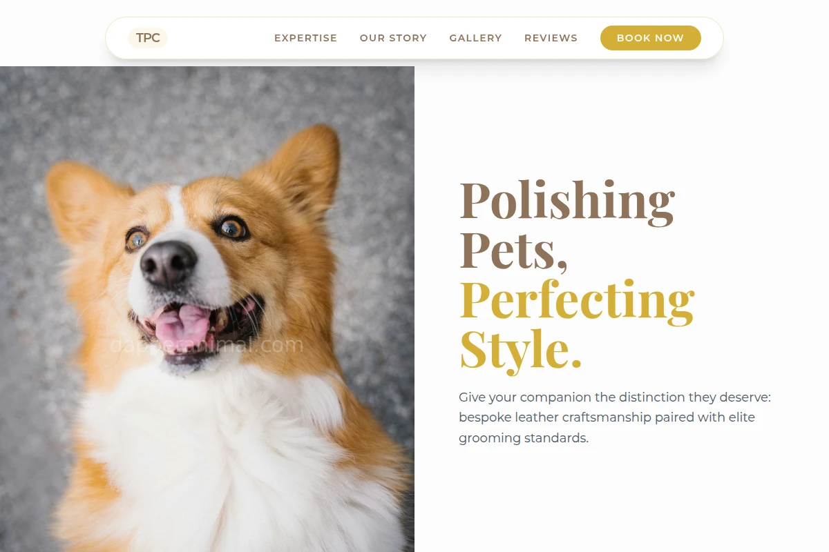 Leather Pet Services