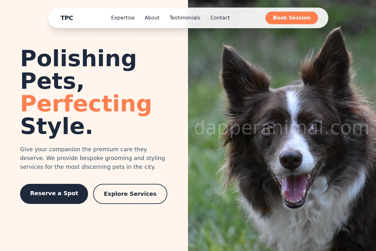 Pet Pet Services
