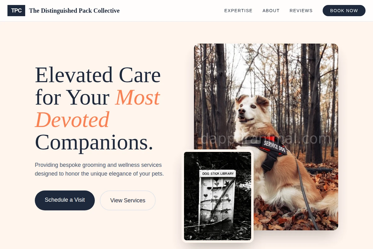Leash Pet Services