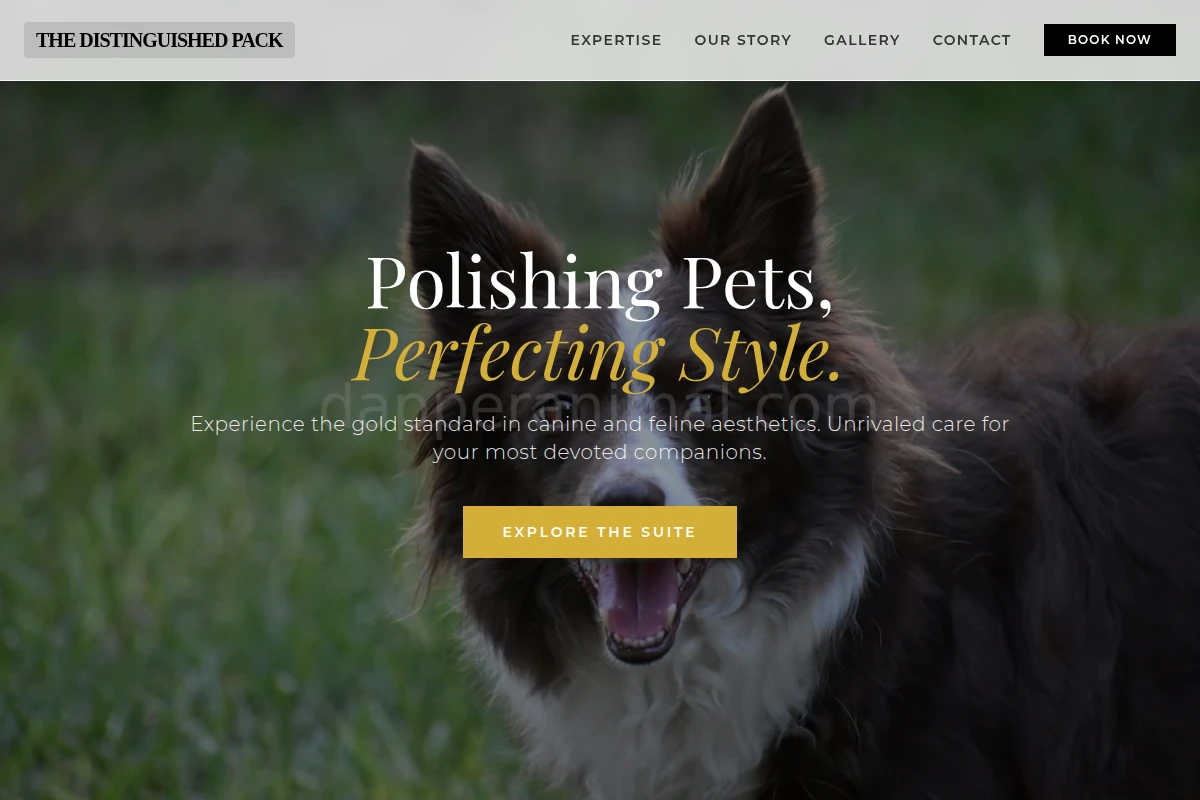 Luxury Pet Services