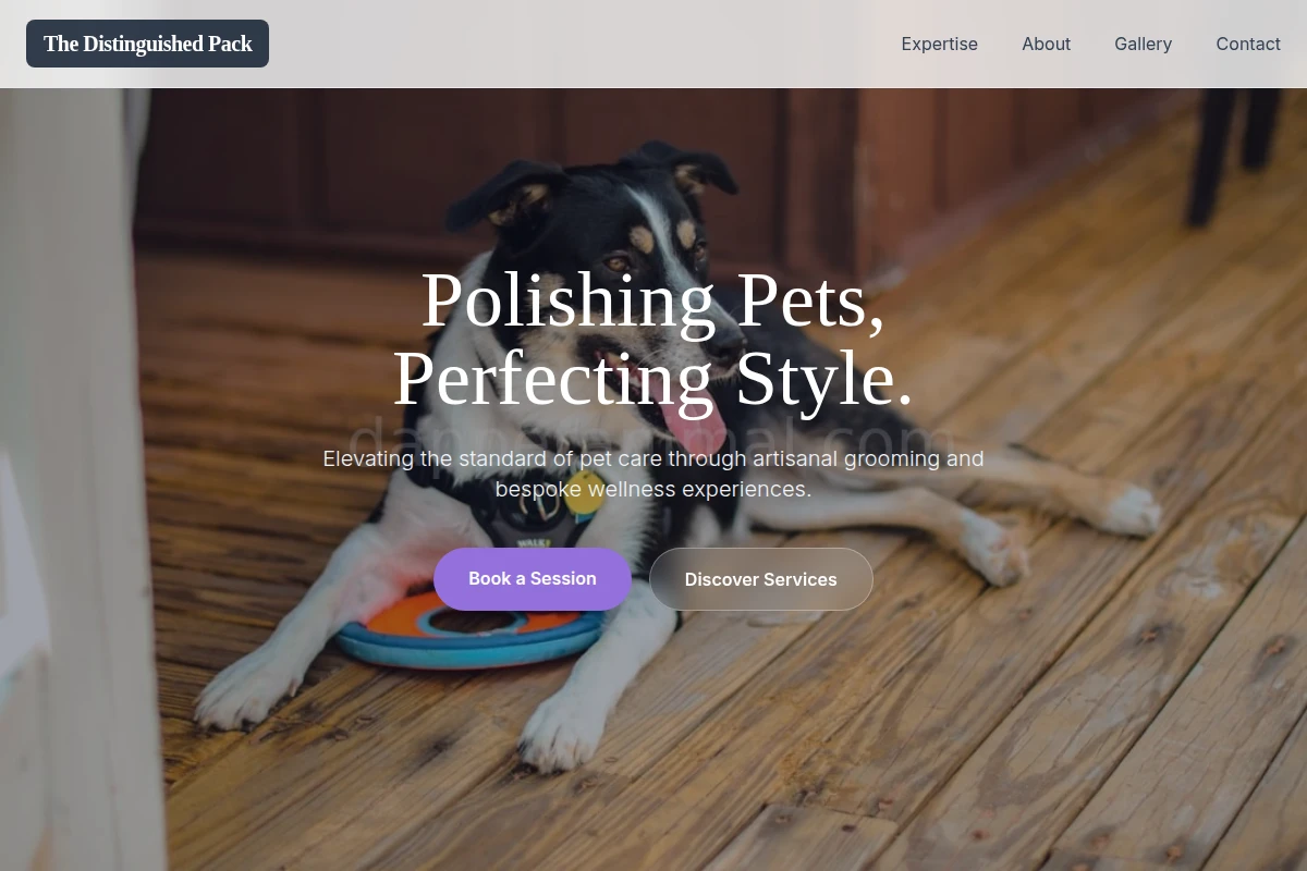 Collar Pet Services