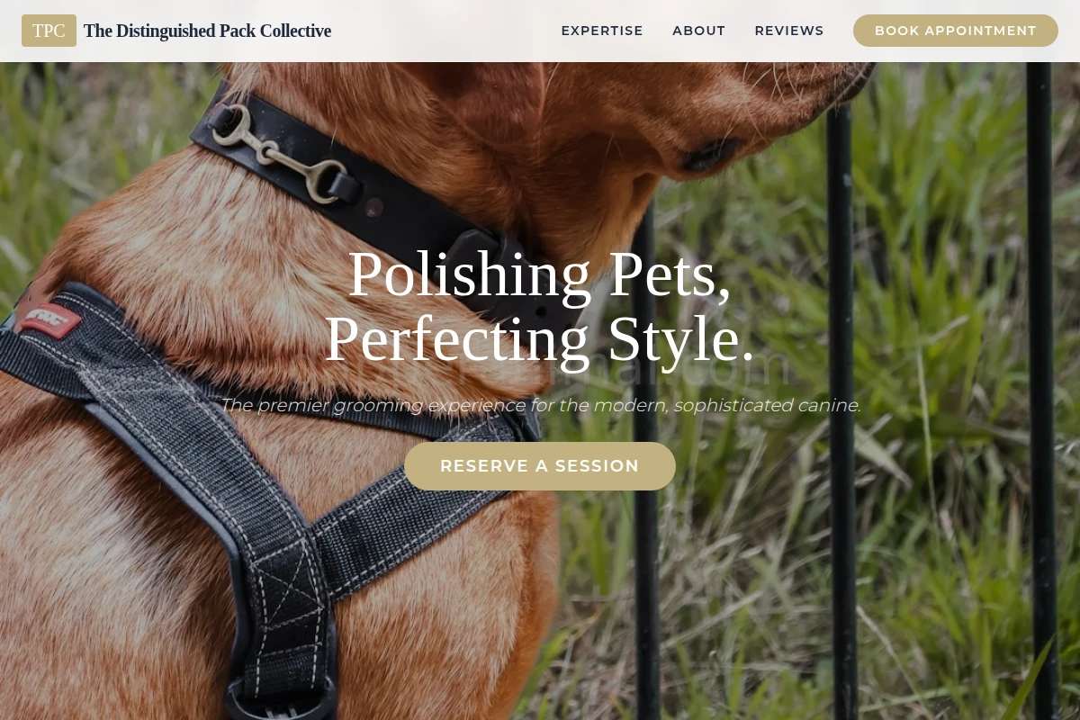 Wag Pet Services